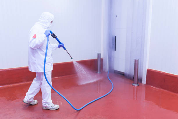 Best Playground Equipment Cleaning  in Sandusky, MI